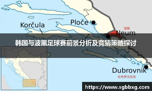 韩国与波黑足球赛前景分析及竞猜策略探讨